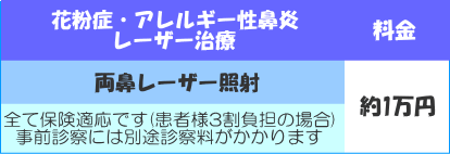 両鼻レーザー照射