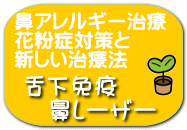 舌下免疫 鼻レーザー