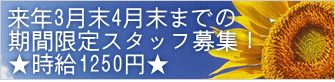 来年3月末4月末までの 期間限定スタッフ募集! ★時給1250円★